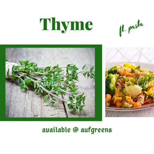 Thyme