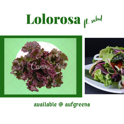 Lolorosa