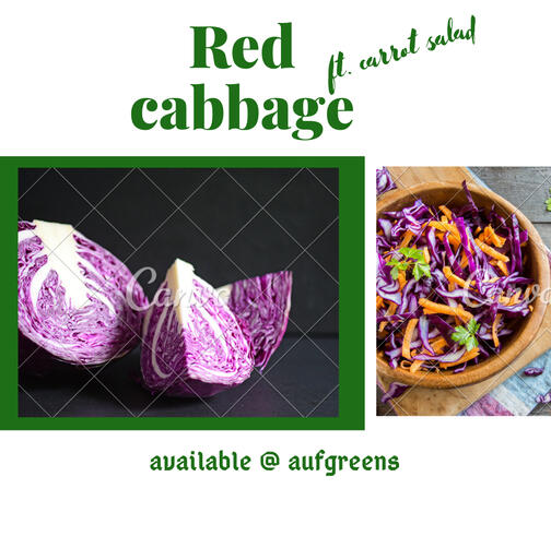 Red Cabbage