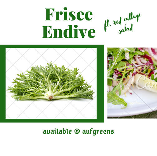 Frisee Endive