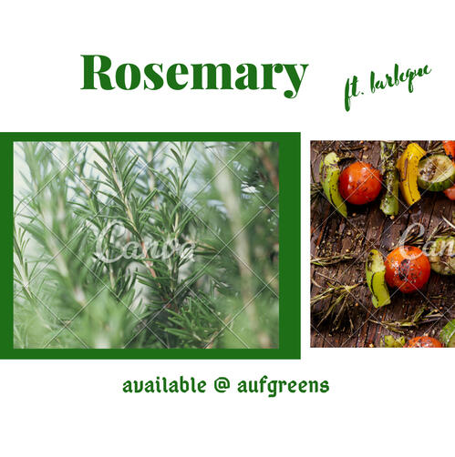 Rosemary