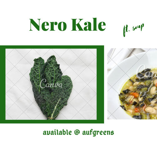 Nero Kale