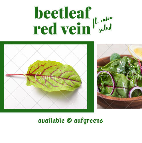 beet leaves