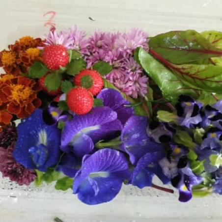 edibleflower