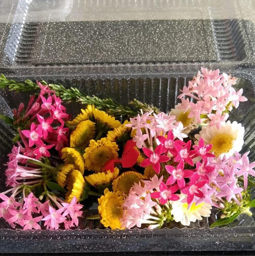 Mixed Edible Flowers